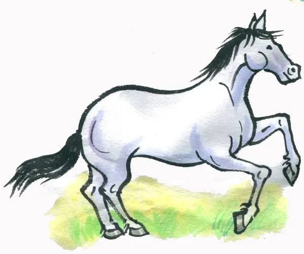 Illustrazione Acquerello Disegnata Mano Cavallo — Foto Stock