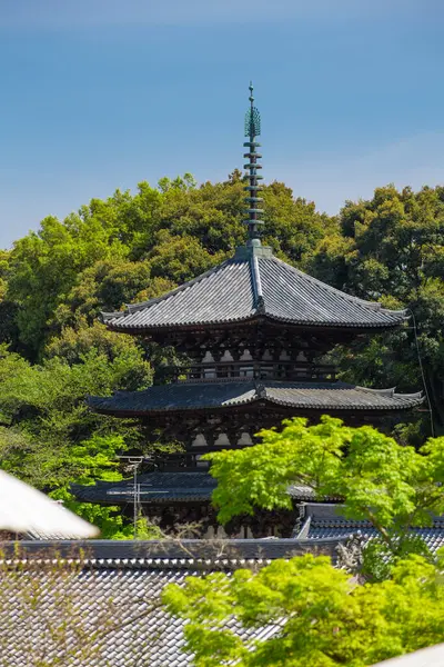 日本奈良海泽寺的传统木制宝塔 — 图库照片