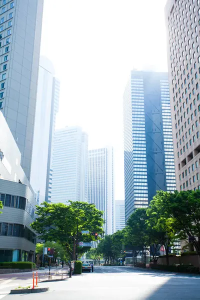 Horizonte Tóquio Com Arranha Céus Edifícios Pôr Sol — Fotografia de Stock