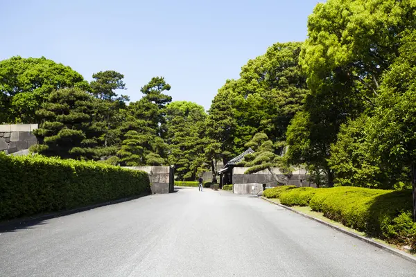 Jardim Verde Com Árvores Céu Azul Japão — Fotografia de Stock