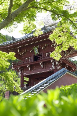 Hasedera Tapınağı, Japonya 'nın Kamakura şehrindeki ünlü tapınak.