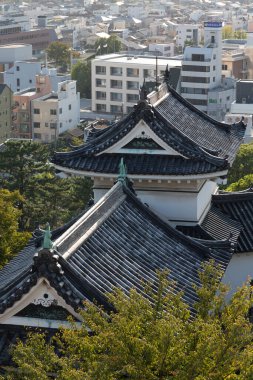 Japon tapınağının güzel manzaralı çatısı.