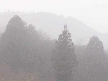 Sonbaharda sisli dağların güzel manzarası