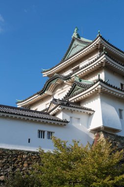 Wakayama Kalesi, Wakayama, Japonya