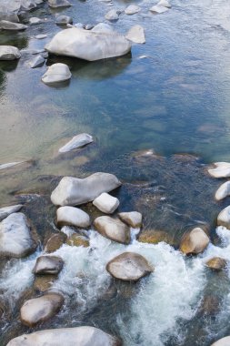 Taşları ve suyu olan güzel dağ nehri.
