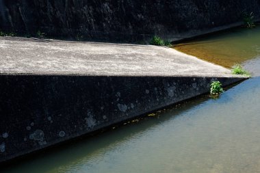 Arka planda yeşil bitkiler olan beton duvar, kapat