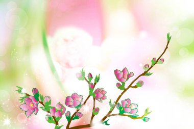 Renkli arka planda pembe çiçekli kiraz ağacı dalları 
