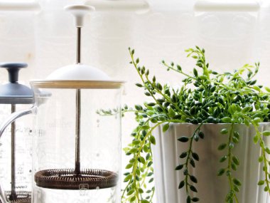 Beyaz arka planda vazoda güzel beyaz çiçekler.