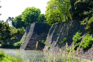Yeşil şehir parkında eski taş duvar ve göl  
