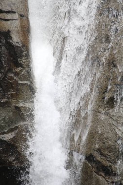 Ormanda, doğa arka planında güzel bir şelale