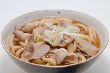 Asya çorbası, domuz eti, erişte ve soğanlı bir mutfak fotoğrafı. 