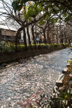 Arkasında nehir olan güzel bir park manzarası.