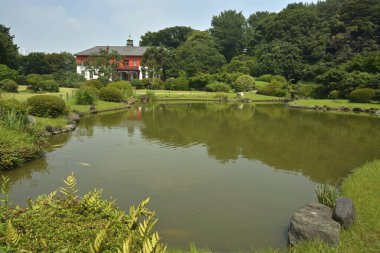 Güzel göl manzarası