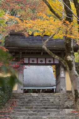 Çarpıcı antik bir Japon tapınağının resimli görüntüsü.