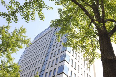 Şehrin modern mimarisi