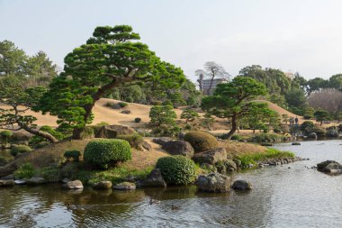 Göl manzaralı Japon bahçesi