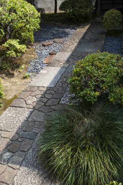 Yeşil bitkiler ve taşlarla Japon geleneksel bahçesinin güzel manzarası                 