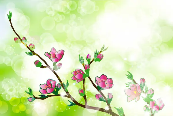 Ветви Вишни Розовыми Цветами Красочном Фоне — стоковое фото