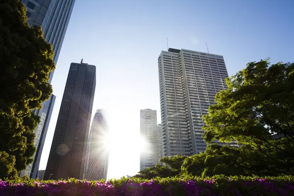 Tokió Felhőkarcolói Épületei Napnyugtakor — Stock Fotó