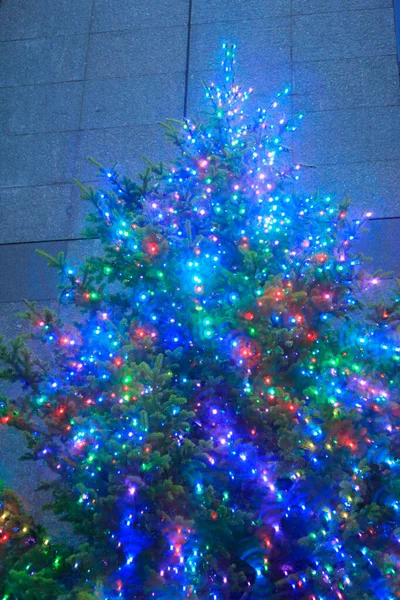 Belas Luzes Natal Árvore Natal — Fotografia de Stock