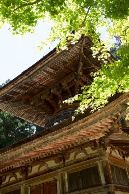 Tapınak manzarası, geleneksel Japon mimarisi.