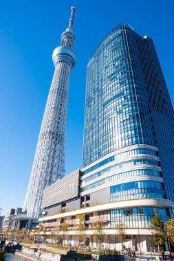 Tokyo Skytree ve Tokyo Skytree Doğu Kulesi Sumida Ward, Tokyo, Japonya 'da açık mavi gökyüzüne karşı 