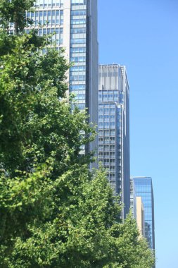 Gündüz vakti yeşil ağaçlı şehir caddesi manzarası