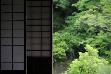 Ormandaki evin penceresinin görüntüsü..