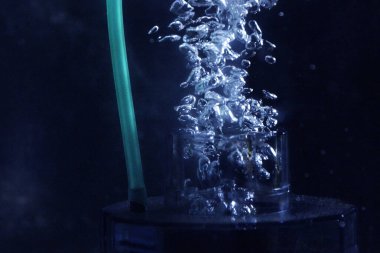 Akvaryumdaki hava pompasından çıkan oksijen kabarcıkları