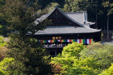 Güzel eski Hasedera tapınağı, Kamakura, Japonya 