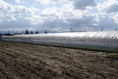 Tarlanın yanında duran büyük plastik sera.