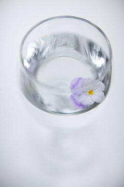 Mor çiçeklerle dolu bir bardakta su. yüksek kaliteli fotoğraf