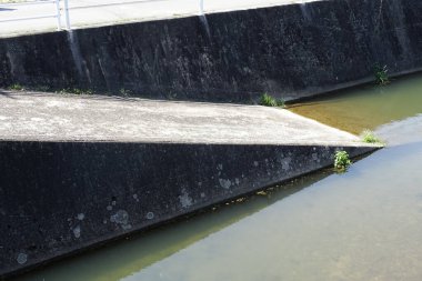 Arka planda yeşil bitkiler olan beton duvar, kapat