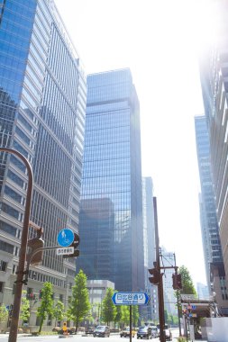 Şehirdeki gökdelenlerin önündeki yeşil ağaçlar