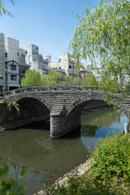 Tokyo, Japonya 'daki eski köprü ve manzara.