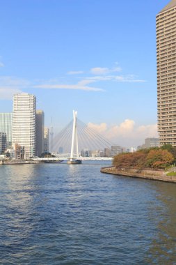 Sumida Nehri ve köprüsü. Tokyo, Japonya.