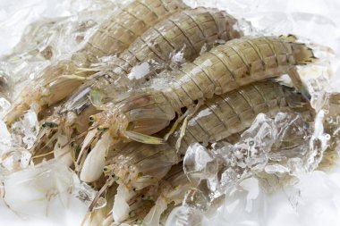 Buzdaki taze çiğ karidesleri kapatın.