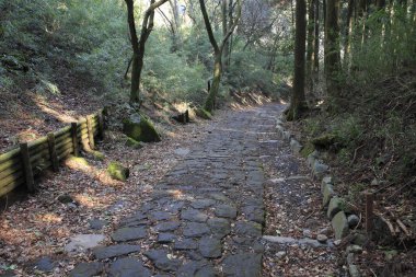 Eski taş yolu olan ormanın güzel manzarası     