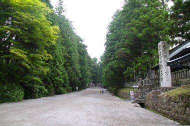 Huzurlu ağaç yolu uzak geleneksel yapıya doğru gidiyor.