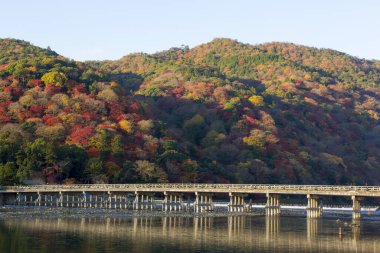 Japonya 'da nehir boyunca köprü. Sonbahar sezonu