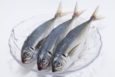 Beyaz arkaplanda izole edilmiş tabakta uskumru, kapat