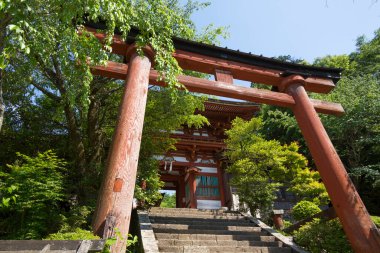 Eski bir Japon tapınağının dramatik manzarası