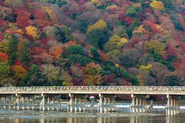 Japonya 'da nehir boyunca köprü. Sonbahar sezonu