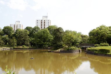 Göl manzaralı şehir parkı 