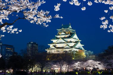 Kiraz çiçekli güzel Osaka kalesi, Osaka, Japonya