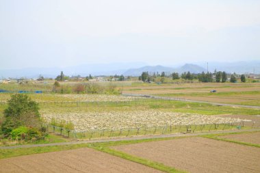 İlkbaharda Japonya 'da güzel kırsal alan 