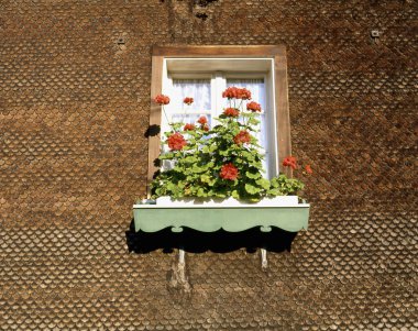 window with flower pots and plants