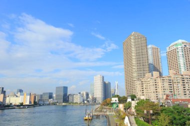 Sumida Nehri ve köprüsü. Tokyo, Japonya.