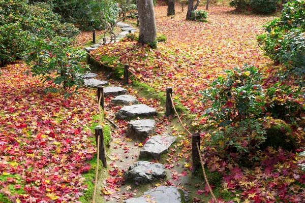Stone Path Colorful Autumn Leaves Park — Stock Photo, Image