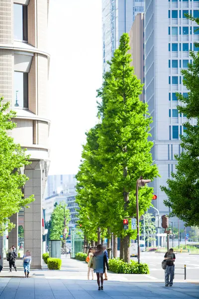 Edificio Moderno Con Árboles Verdes Ciudad —  Fotos de Stock
